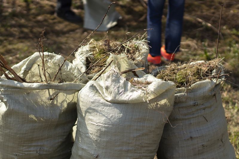 Rubbish Removal in Madison, WI